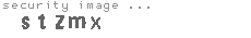 security image