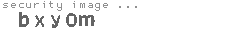 security image
