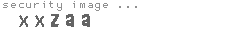 security image