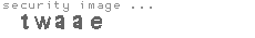 security image