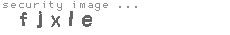 security image