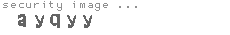 security image