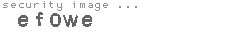 security image