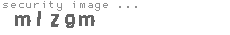 security image