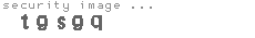 security image