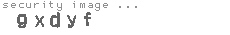 security image