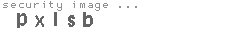 security image