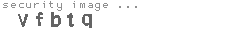 security image
