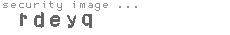 security image