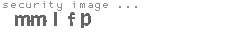 security image