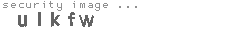 security image