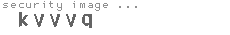 security image