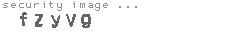 security image