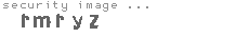 security image