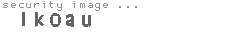 security image