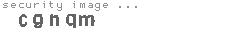 security image