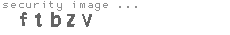 security image