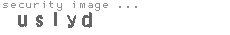 security image