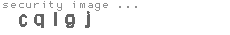security image