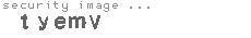 security image