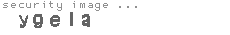 security image