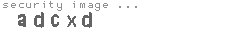 security image