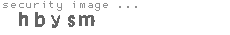 security image