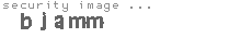security image