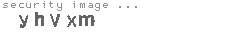 security image