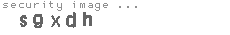 security image