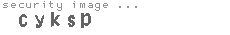 security image
