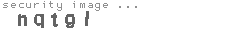 security image