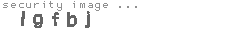 security image