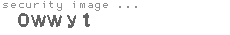 security image