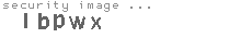 security image
