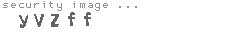 security image