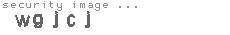 security image