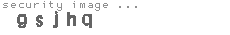 security image