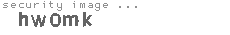 security image