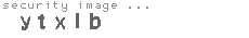 security image