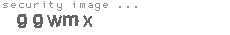 security image