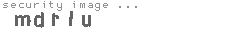 security image