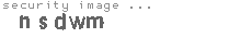 security image