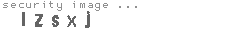 security image