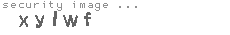 security image