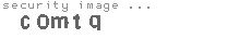 security image