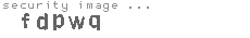 security image