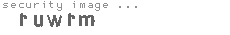 security image