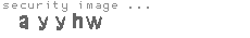 security image