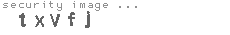 security image